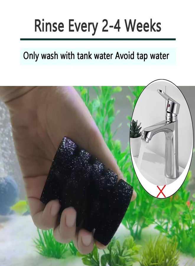 AQUANEAT Aquarium Air Powered Sponge Filter with Ceramic Media Balls, for Betta Fry Shrimp Fish Tank, with 2 Spare Sponges, Small - Image 5